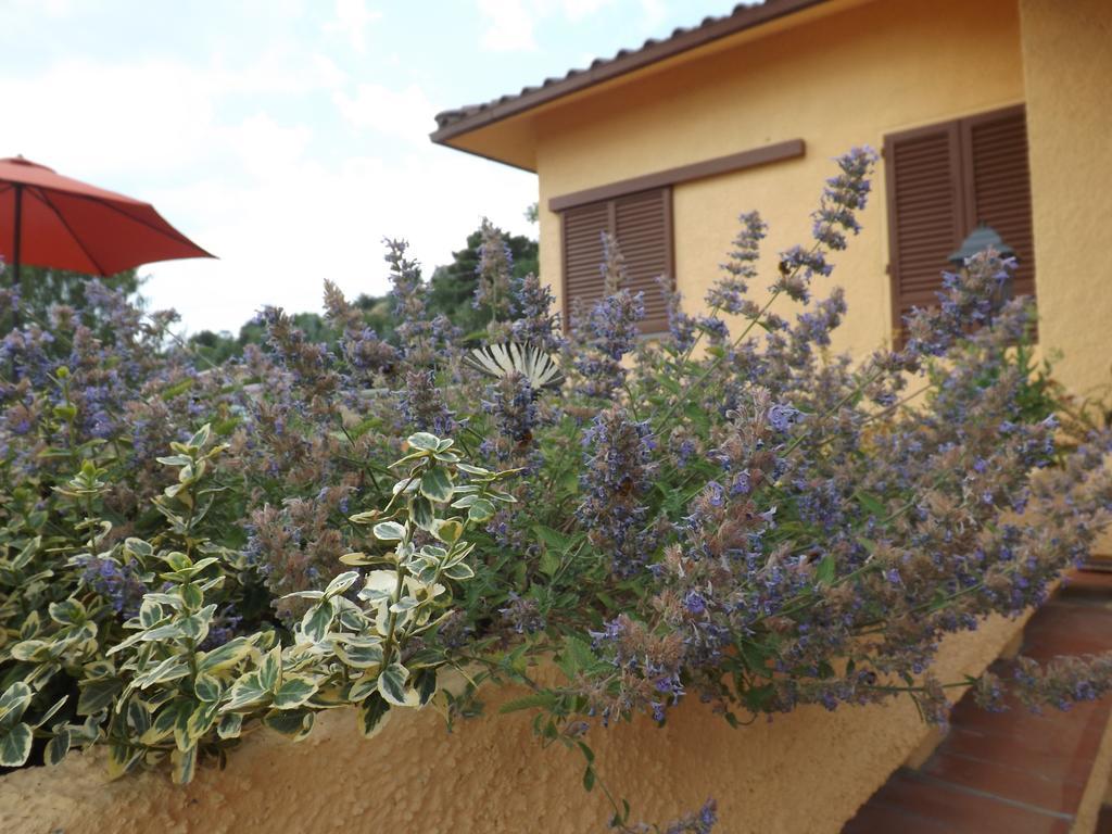 Rifugio Al Sole Villa Reggello Luaran gambar